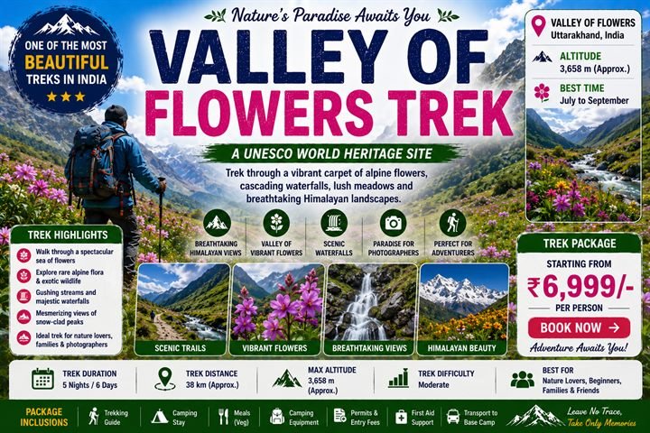 Valley of Flowers Guide