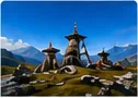 Chopta Meadows
